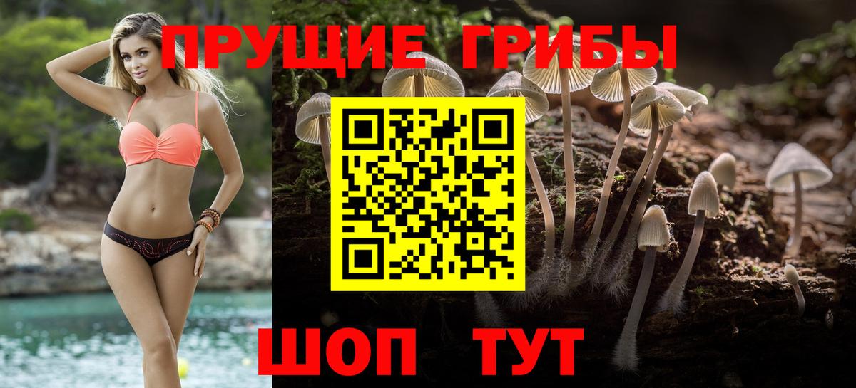 Галлюциногенные грибы Psilocybe Гагарин