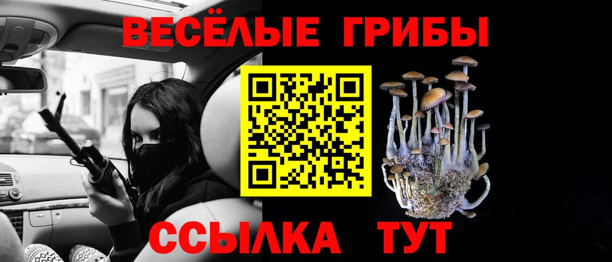 Гагарин  Галлюциногенные грибы GOLDEN TEACHER  Вход с VPN 